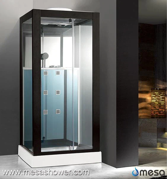 Schwarz lackiert Aluminiumrahmen Duschraum mit Pivot Tür